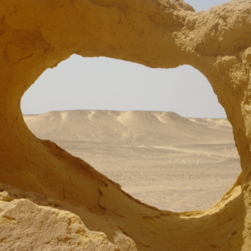 2010: Desert trip, Fayoum